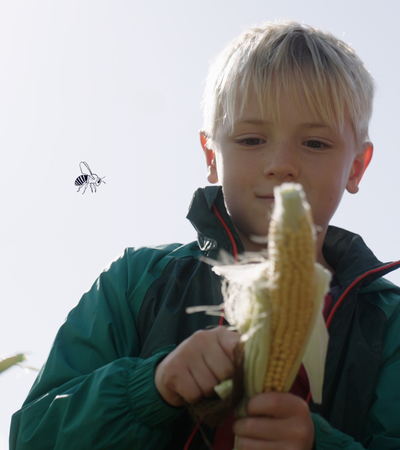 Boy holding corn
