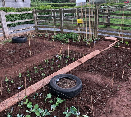 Y8 gardening