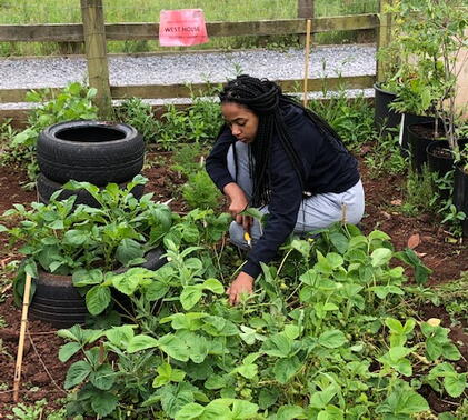 gardening