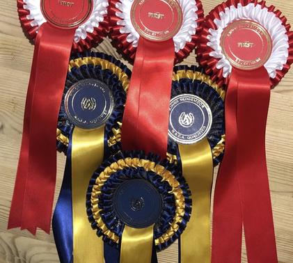 NSEA county champs rosettes