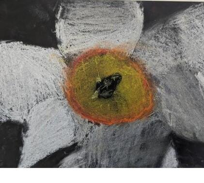 Year 7 Flower Project