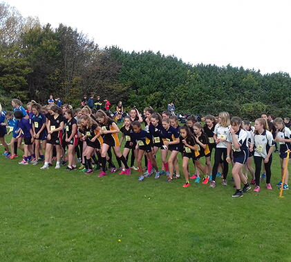 Sports Reports – week ending Friday 11 November