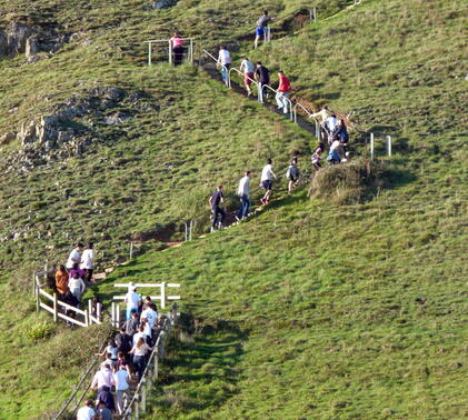 Lower Sixth Brean Down Walk - 2016