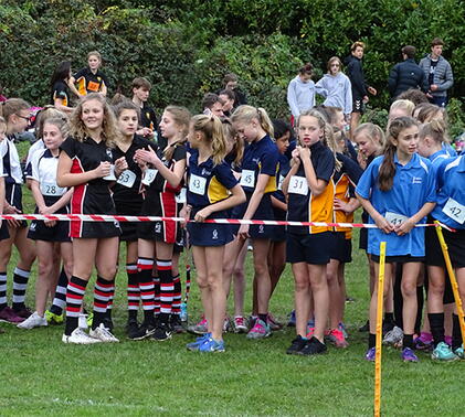 Sports Reports – Week Ending Friday 17th November