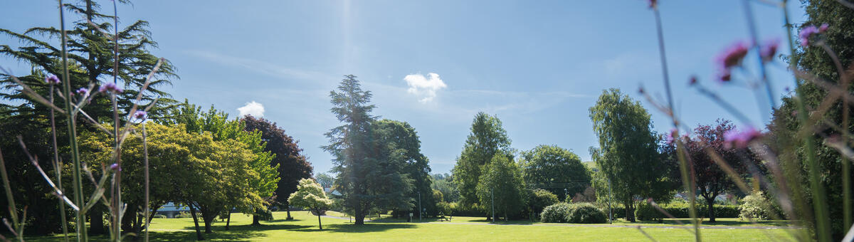 Sidcot Tree The Sidcot Difference | Sidcot School