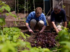 Student Learning at Gardening Club