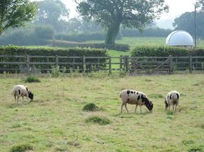 Animals at Sidcot