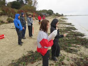 A Level Geography students visit Swanage