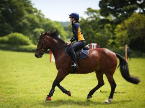 Horse Riding