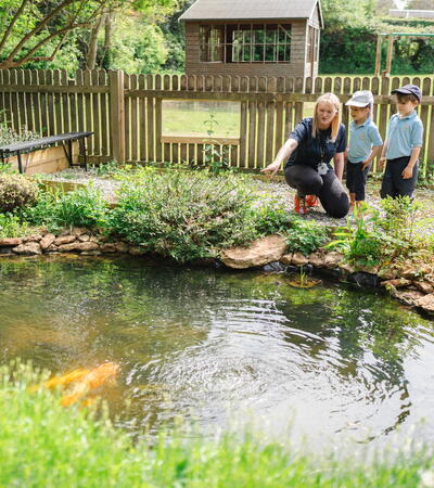 Sidcot junior school pupils looking for fish in pond