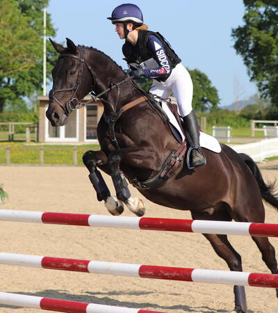 equestrian
