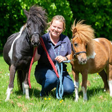 Sidcot ponies with Equestrian manager, Zoe.