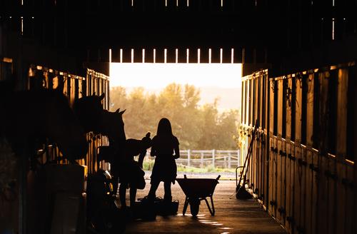 equestrian activities when choosing schools