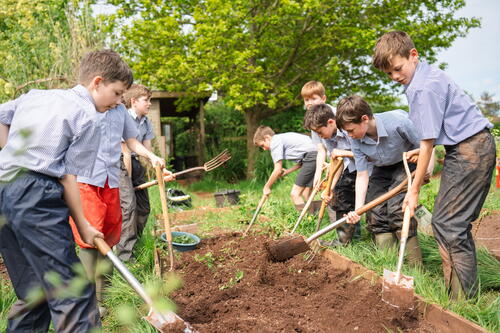 children digging during a forest school activity at a school in the countryside