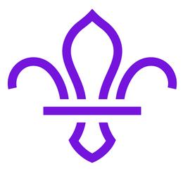 Scouts logo